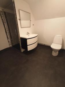 a bathroom with a toilet and a sink and a mirror at Gästis Vandrarhem Örkelljunga in Orkelljunga +15 photos