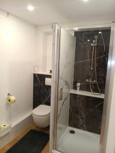 a bathroom with a toilet and a glass shower at Haus Waldhuber in Schwoich