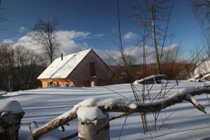 a barn in the snow with a tree branch at Apartmán U Hvězdáře in Křišťanovice