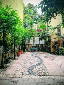a garden with a cobblestone walkway with plants at Hotel Coyoacan in Mexico City