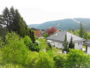 Galeriebild der Unterkunft Premium-Ferienwohnungen Bergblick im Haus Hopfe in Hahnenklee-Bockswiese