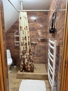 a bathroom with a shower curtain and a toilet at KOMFORT in Berehove +56 photos