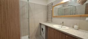 a bathroom with a sink and a washing machine at Flat in cottage close to the centre parking, WiFi, BBQ in Lviv
