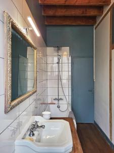 a bathroom with a sink and a mirror and a shower at Une nuit à la Clouère in Saint-Maurice-la-Clouère