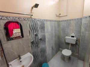 a bathroom with a shower and a toilet and a sink at Hotel Vijay in Rājgīr