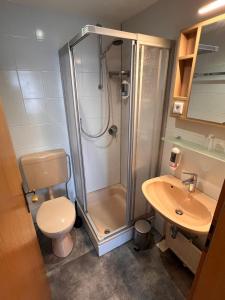 a bathroom with a shower and a toilet and a sink at Hotel Gasthof Altmann in Warzenried +34 photos