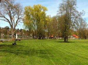 ein Park mit Bäumen und einer Bank im Gras in der Unterkunft Chalet am Pilsensee in Seefeld