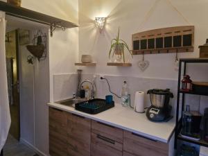 a kitchen with a sink and a counter top at Harmonie in Blésignac +14 photos