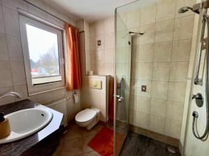 a bathroom with a shower and a toilet and a sink at Ferienzimmer direkt am See in Priepert