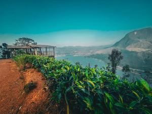 a view of a river from a field of plants at Adams Peak Lake Resort in Nallathanniya