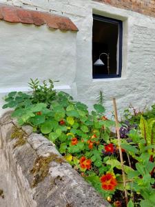 a garden with flowers in front of a window at Appartement cosy au calme avec sauna in Kauffenheim