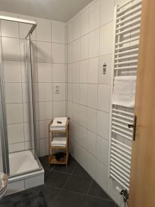 a bathroom with a shower and a sink at City Apartment 1 in Euskirchen
