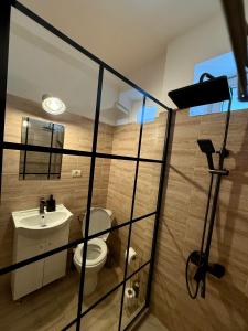 a bathroom with a toilet and a sink at Urban Stillness - 3BD Hideaway in Bucharest +45 photos