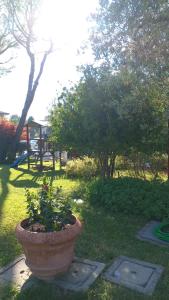 a large plant in a pot in a park at Casa Maria in Manerba del Garda +68 photos