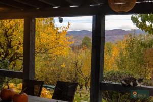 a cat sitting on a window sill looking out at the mountains at Sunset Hills Chalet in Slănic