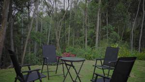 a group of chairs and a table in front of a forest at Ayana Gardens Ella in Ella