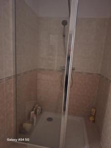 a shower with a glass door in a bathroom at Appartement confortable à Propriano avec balcon in Propriano