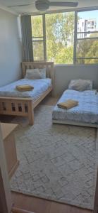 two beds in a room with two windows at Spacious Apartment Oasis in Bankstown