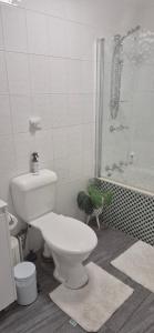 a white bathroom with a toilet and a shower at Spacious Apartment Oasis in Bankstown +8 photos