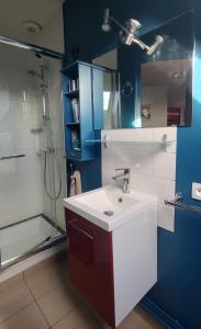 a bathroom with a sink and a shower at Studio au 2e étage de notre maison de ville in Caen