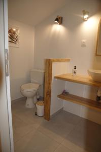 a bathroom with a toilet and a sink at Appartement LE CHAI in Saint-Gaudens +9 photos