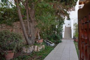 a tree next to a stone wall with a sidewalk at Irene Studios Patmos in Skala