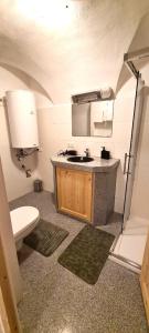 a small bathroom with a sink and a toilet at ALTSTADT-Apartmenthaus BOGENSPERGER in Braunau am Inn +59 photos
