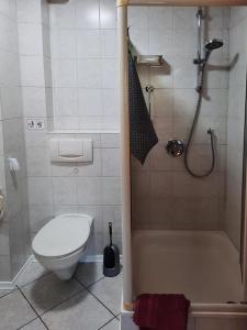 a small bathroom with a toilet and a shower at Haus Petra in Gleishorbach +15 photos
