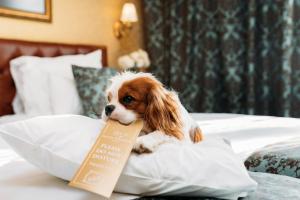 a dog sitting on a bed holding a sign in its mouth at Hotel Jelgava in Jelgava