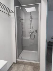 a shower with a glass door in a bathroom at Offbase Lodging No6 in Ramstein-Miesenbach