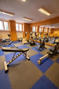 a gym with a lot of treadmills and exercise bikes at REVIS Tachov in Tachov