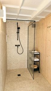 a shower in a bathroom with a glass door at Lombtér in Pásztó +37 photos