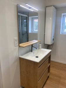 a bathroom with a sink and a mirror at La Grange des Pépettes ! in Saint-Germain-des-Fossés +14 photos