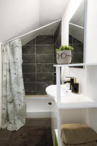 a bathroom with a sink and a bath tub at Sturzul Negru in Păiuş +25 photos