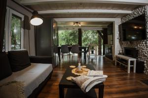 a living room with a couch and a table at Sturzul Negru in Păiuş