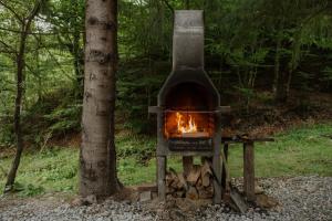 a wood fired oven sitting next to a tree at Sturzul Negru in Păiuş