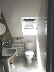 a small bathroom with a toilet and a sink at Gîtes du Cosquer in Malguénac +57 photos
