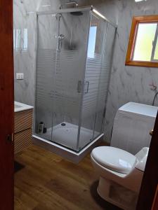 a bathroom with a shower and a toilet at Astilleros,Dalcahue in Dalcahue +5 photos