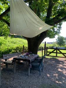 a picnic table under a tree with a umbrella at Luxury guesthouse - Eik bij de dijk in Aalst +27 photos