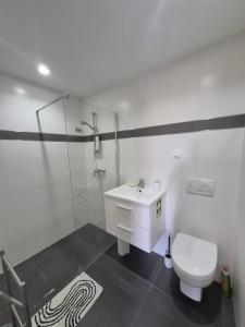 a bathroom with a shower and a toilet and a sink at 123 Muda Life in Sesimbra +9 photos