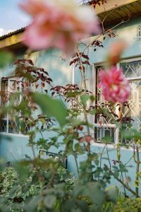 a pink flower in front of a window at The Garden Home in Arusha
