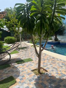 a palm tree sitting next to a swimming pool at Venusia Villa in Darou Rhamane +7 photos