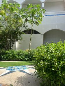 a building with a tree in front of a yard at Venusia Villa in Darou Rhamane