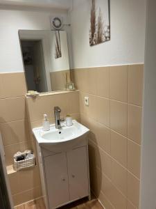 a bathroom with a sink and a mirror at SchrauberStube Bertkow in Goldbeck +9 photos