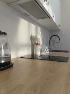 a kitchen with a counter top with a sink and a counter top at WOODSPACE Apartment in Shchūchīnsk +46 photos