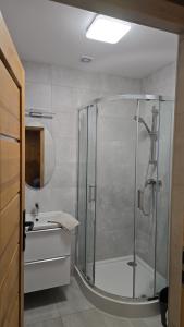 a bathroom with a shower and a sink at Camp Marina in Sulęcin