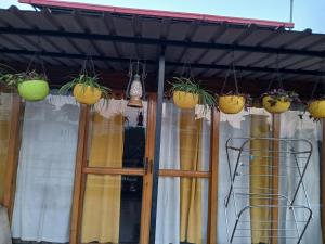 a group of potted plants hanging from a roof at Gharonda in Dehradun