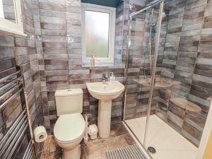 a bathroom with a toilet and a shower and a sink at The Nook in Wigton