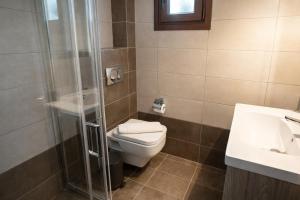 a bathroom with a toilet and a shower and a sink at Villa Fotini in Syvota