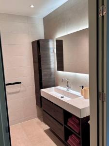 a bathroom with a sink and a mirror at Erve t Hoolterhof in Holten +12 photos
